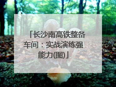 长沙南高铁整备车间：实战演练强能力(图)