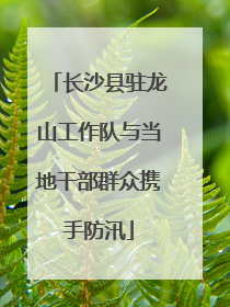 长沙县驻龙山工作队与当地干部群众携手防汛