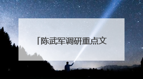 陈武军调研重点文旅项目推进情况