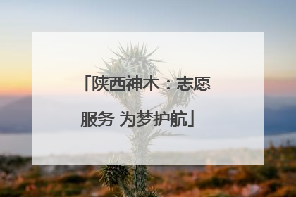 陕西神木：志愿服务 为梦护航