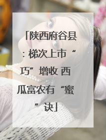 陕西府谷县：梯次上市“巧”增收 西瓜富农有“蜜”诀