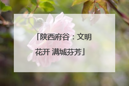 陕西府谷：文明花开 满城芬芳