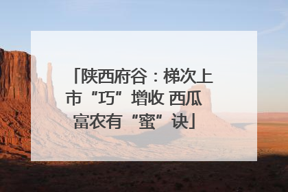 陕西府谷：梯次上市“巧”增收 西瓜富农有“蜜”诀