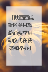 陕西西咸新区乡村旅游消费季启动仪式在茯茶镇举办