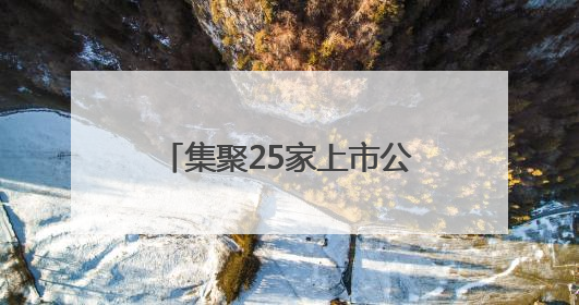 集聚25家上市公司，总市值近2500亿元，桐梓坡路风景这边独好——长沙有条“上市路”