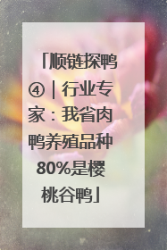 顺链探鸭④｜行业专家：我省肉鸭养殖品种80%是樱桃谷鸭