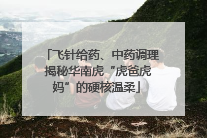 飞针给药、中药调理 揭秘华南虎“虎爸虎妈”的硬核温柔