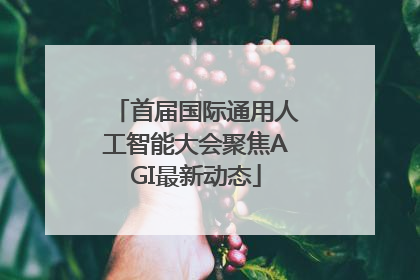 首届国际通用人工智能大会聚焦AGI最新动态