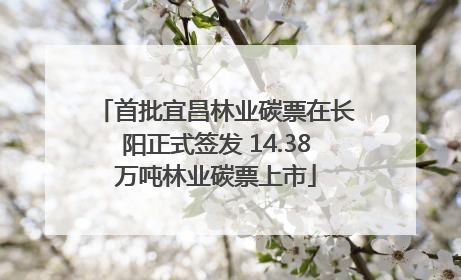 首批宜昌林业碳票在长阳正式签发 14.38万吨林业碳票上市