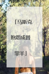 马斯克抱怨成替罪羊