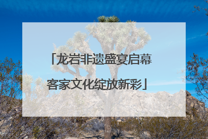 龙岩非遗盛宴启幕 客家文化绽放新彩