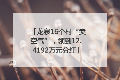 龙泉16个村“卖空气”，领到12.4192万元分红