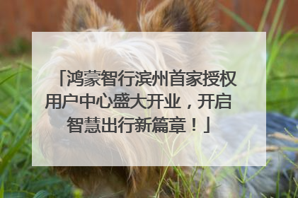 鸿蒙智行滨州首家授权用户中心盛大开业，开启智慧出行新篇章！
