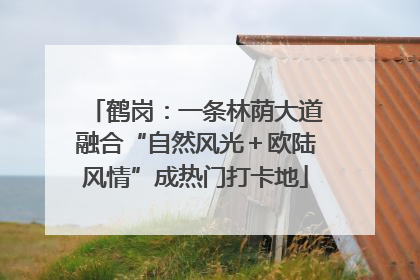 鹤岗：一条林荫大道融合“自然风光＋欧陆风情”成热门打卡地
