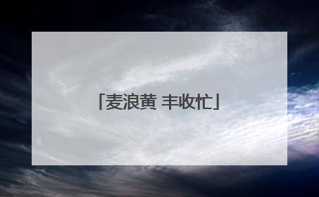 麦浪黄 丰收忙