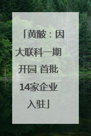 黄陂：因大联科一期开园 首批14家企业入驻