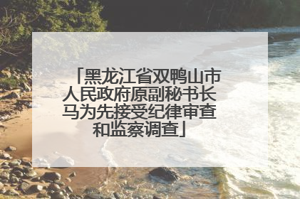 黑龙江省双鸭山市人民政府原副秘书长马为先接受纪律审查和监察调查