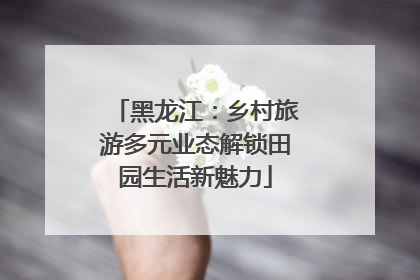 黑龙江：乡村旅游多元业态解锁田园生活新魅力