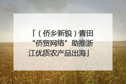（侨乡新貌）青田“侨贸网络”助推浙江优质农产品出海