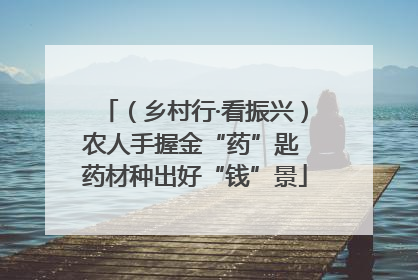 （乡村行·看振兴）农人手握金“药”匙 药材种出好“钱”景