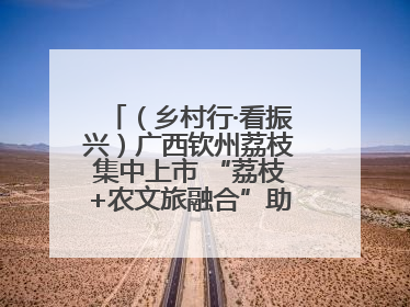 （乡村行·看振兴）广西钦州荔枝集中上市 “荔枝+农文旅融合”助农增收