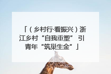 （乡村行·看振兴）浙江乡村“自我重塑” 引青年“筑巢生金”