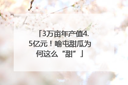 3万亩年产值4.5亿元！喻屯甜瓜为何这么“甜”
