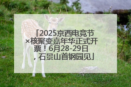 2025京西电竞节×核聚变嘉年华正式开票！6月28-29日，石景山首钢园见