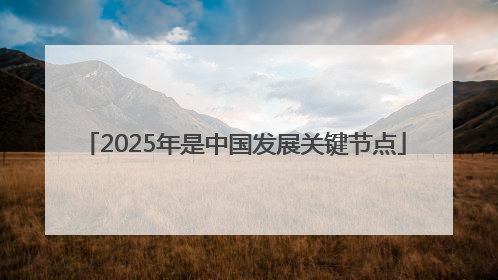 2025年是中国发展关键节点