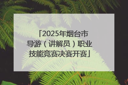 2025年烟台市导游（讲解员）职业技能竞赛决赛开赛