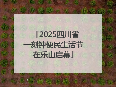2025四川省一刻钟便民生活节在乐山启幕