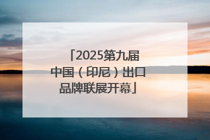 2025第九届中国（印尼）出口品牌联展开幕