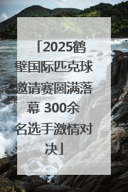 2025鹤壁国际匹克球邀请赛圆满落幕 300余名选手激情对决