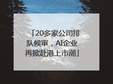 20多家公司排队候审，AI企业再掀赴港上市潮