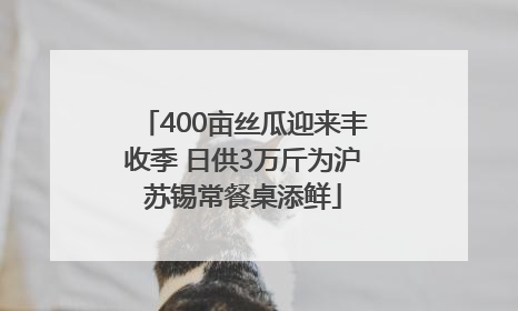 400亩丝瓜迎来丰收季 日供3万斤为沪苏锡常餐桌添鲜