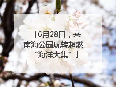 6月28日，来南海公园玩转超燃 “海洋大集”
