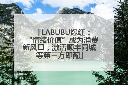 LABUBU爆红：“情绪价值”成为消费新风口，激活顺丰同城等第三方即配
