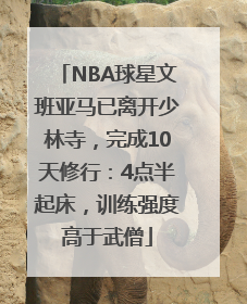 NBA球星文班亚马已离开少林寺，完成10天修行：4点半起床，训练强度高于武僧