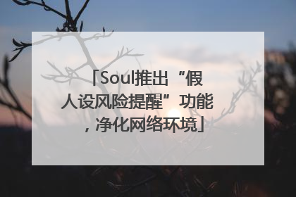 Soul推出“假人设风险提醒”功能，净化网络环境